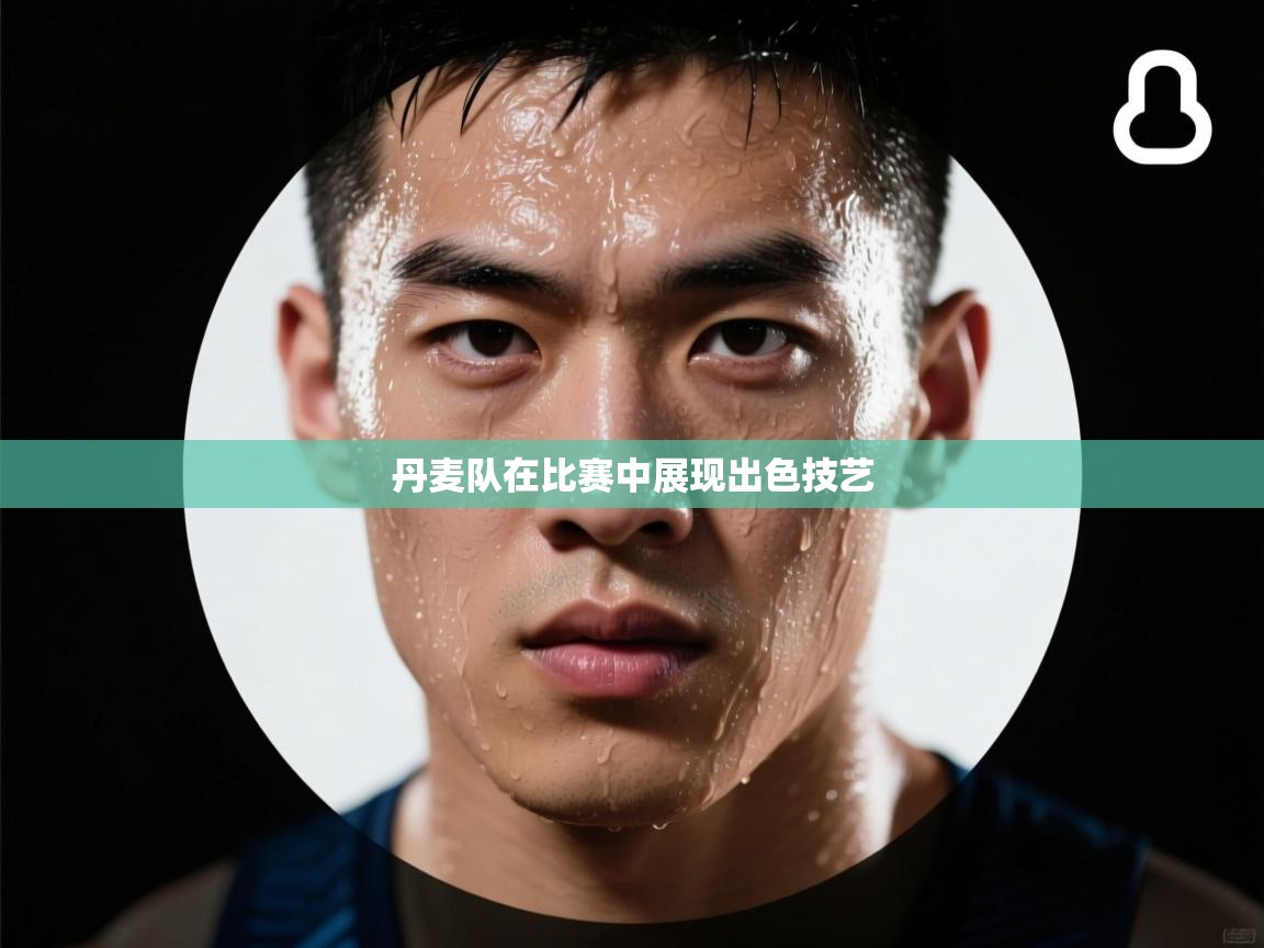 丹麦队在比赛中展现出色技艺