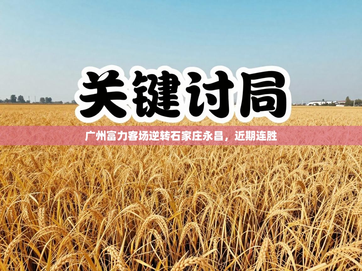 广州富力客场逆转石家庄永昌，近期连胜